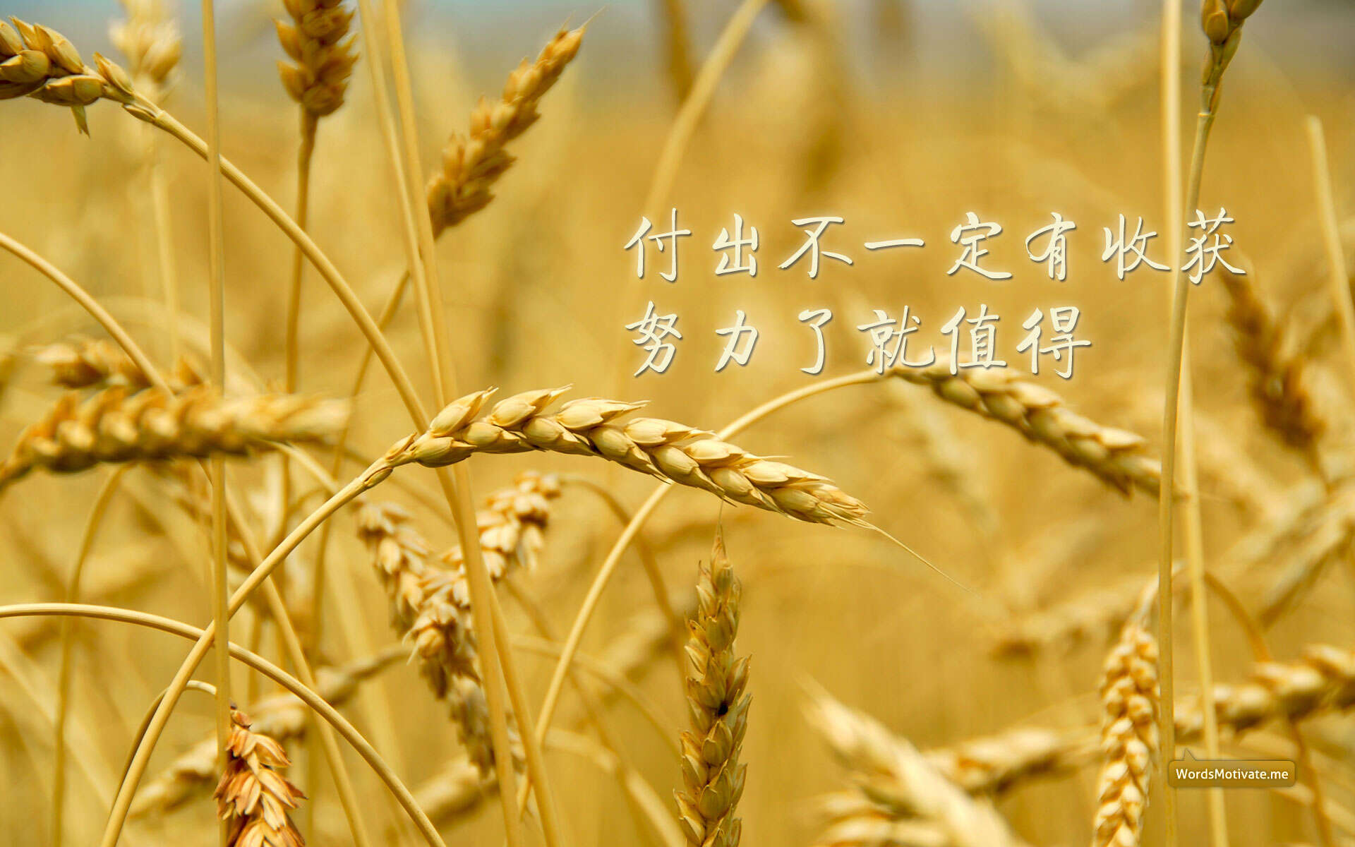 旭子日记我的生活分享