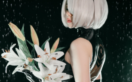 Alina Becker网红cosplay模特写真资源下载