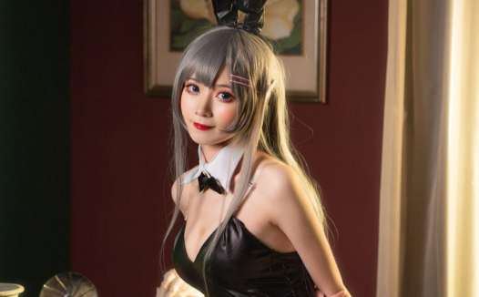 阳炎型小菠萝 微博coser全部作品写真合集